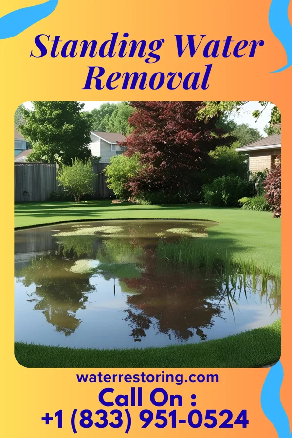Standing Water Removal in Otterville, MO